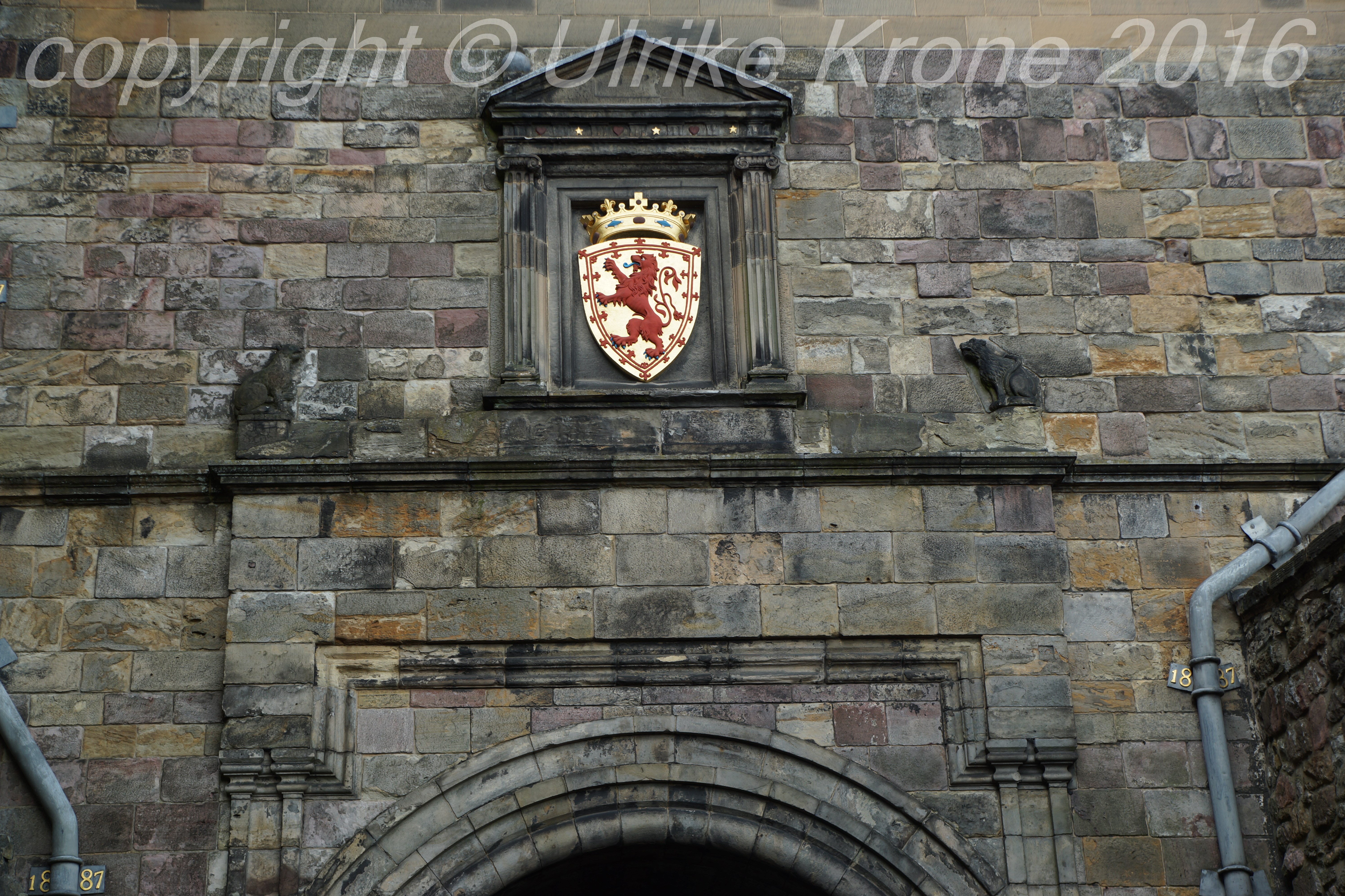 castle19